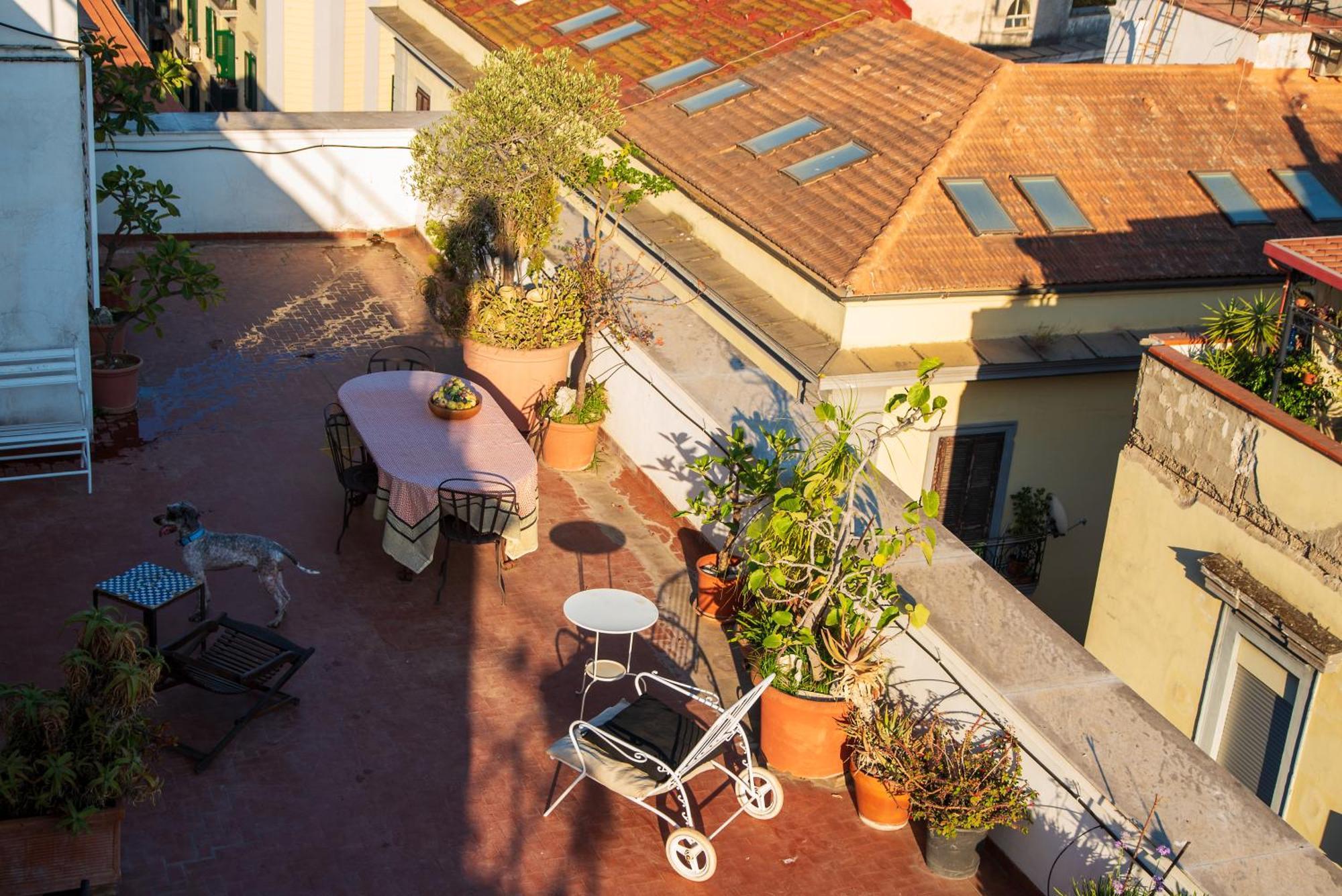 Penthouse Terrazza Vesuvio * Naples